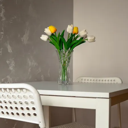 Valia Apartment Belgrade