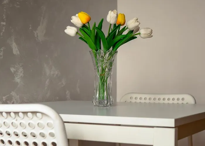 Valia شقة بلغراد